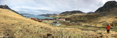 Grytviken Whaling Station  6