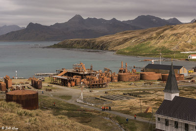 Grytviken Whaling Station  8