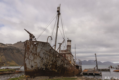Grytviken Whaling Station  10