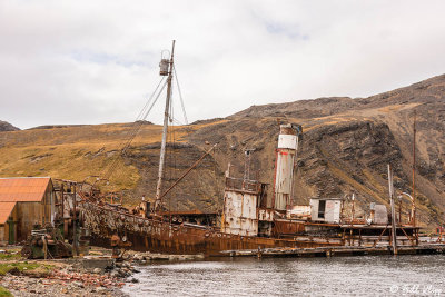 Grytviken Whaling Station  14
