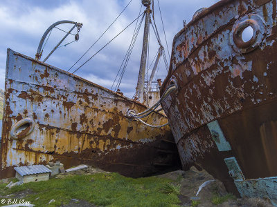 Grytviken Whaling Station  16