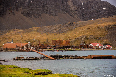 Grytviken Whaling Station  17