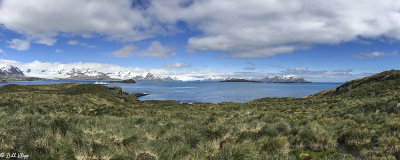 Prion Island, Pano  1