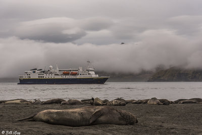 National Geographic Explorer, St. Andrews Bay  1