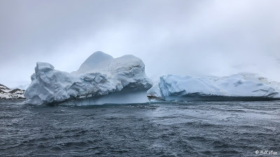 Icebergs, Sandefjord Bay  1