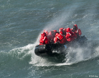 Zodiac, Katabatic winds, St. Andrews Bay  2