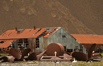 Stromness Harbour South Georgia Island