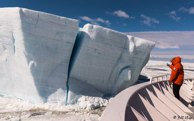 Icebergs, Antarctic Sound  2
