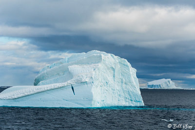 Icebergs, Antarctic Sound  5