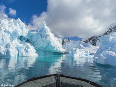 Icebergs, Danco Island  5