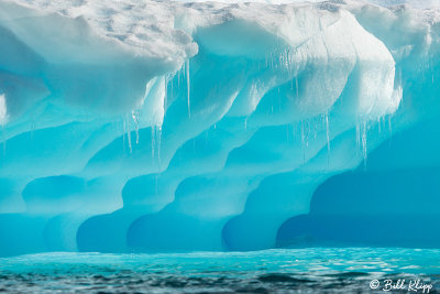 Icebergs, Danco Island  1