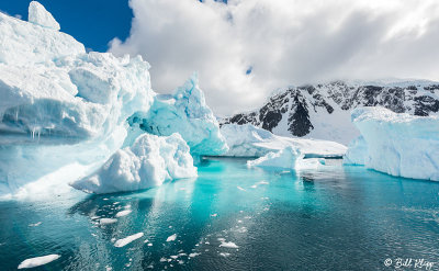 Icebergs, Danco Island  2