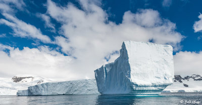 Icebergs, Danco Island  3
