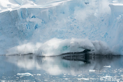 Glacial Calving, Neko Harbor  1