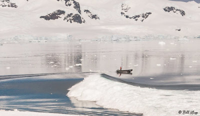 Glacial Calving & Tsunami, Neko Harbor  9