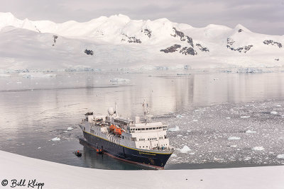 National Geographic Explorer, Neko Harbour  14