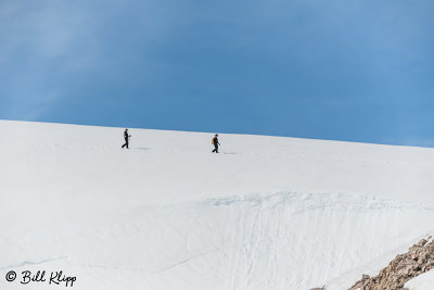 Hiking, Neko Harbour   15