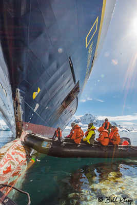 National Geographic Explorer, Paradise Harbour  17