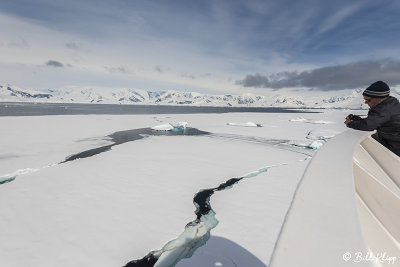 Fast Ice, Wilhelmina Bay  1