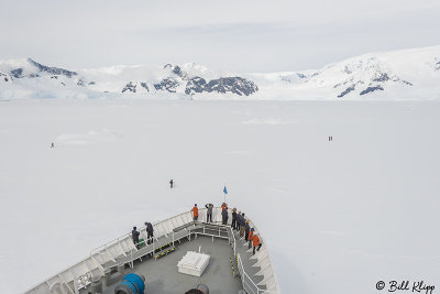 Fast Ice, Wilhelmina Bay  3