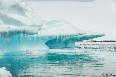 Icebergs, Enterprise Islands  22