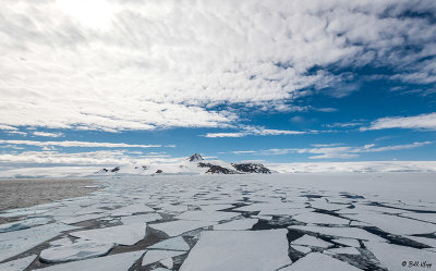 ICE Cruising, Antarctic Sound   1