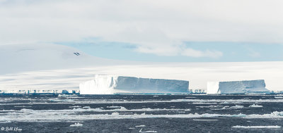 Icebergs, Brown Bluff  1