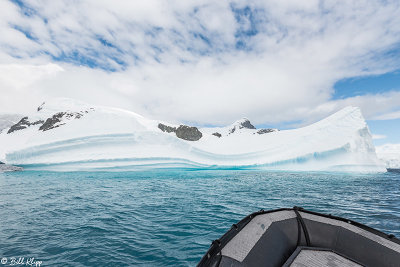 Icebergs, Cuverville Island  2