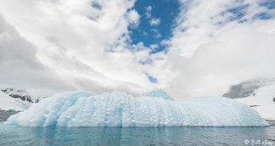 Icebergs, Cuverville Island  3