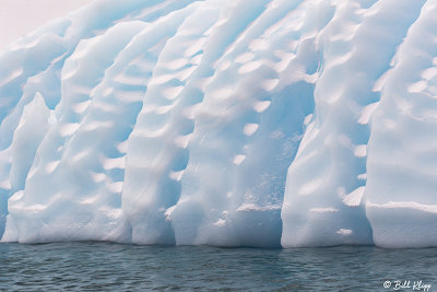 Icebergs, Cuverville Island  4