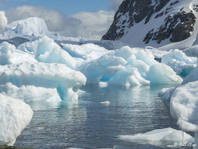 Icebergs, Danco Island  5