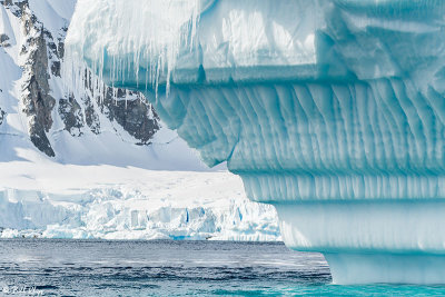 Icebergs, Danco Island  6