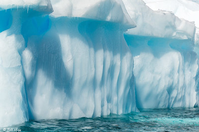 Icebergs, Danco Island  7
