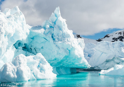 Icebergs, Danco Island  8