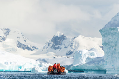 Icebergs, Danco Island  9