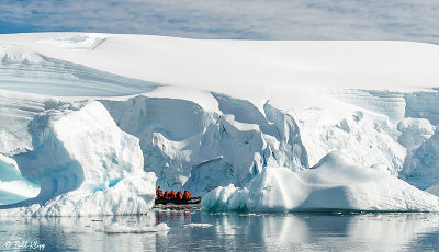 Icebergs, Enterprise Islands 14