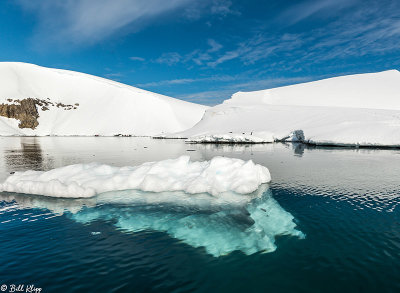 Icebergs, Enterprise Islands 15