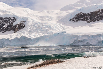 Glacial Calving & Tsunami, Neko Harbor  15