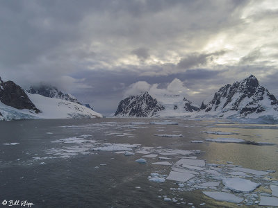 Icebergs, Paradise Harbour  25