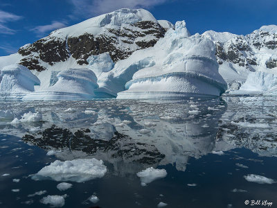 Icebergs, Paradise Harbour  26