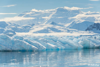 Icebergs, Paradise Harbour  34