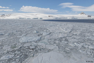 ICE Cruising, Antarctic Sound   6