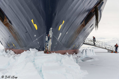 National Geographic Explorer in Fast Ice, Wilhelmina Bay  10