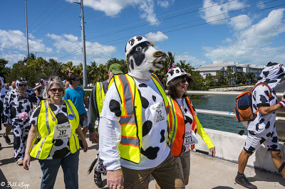 Cow Key Channel Bridge Run  28