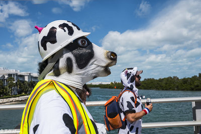 Cow Key Channel Bridge Run 2020