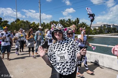 Cow Key Channel Bridge Run  29