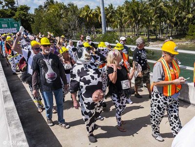 Cow Key Channel Bridge Run  32