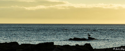 Santiago Island 3