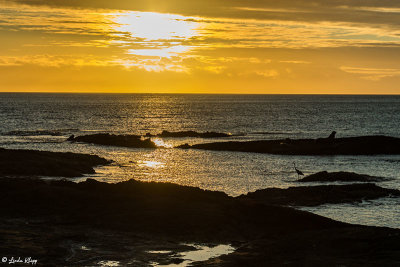 Sunset, Santiago Island 2