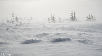 Blowing snow over Tundra  1